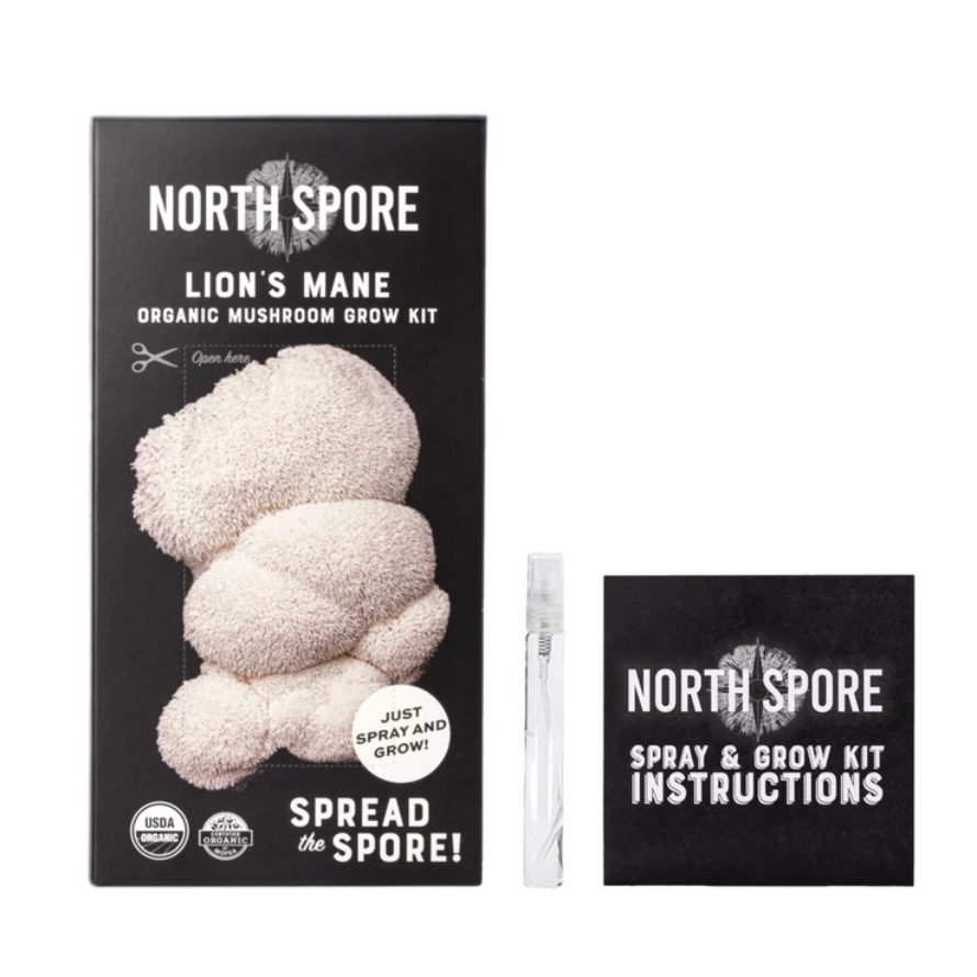 Mushroom Kit – Lion’s Mane